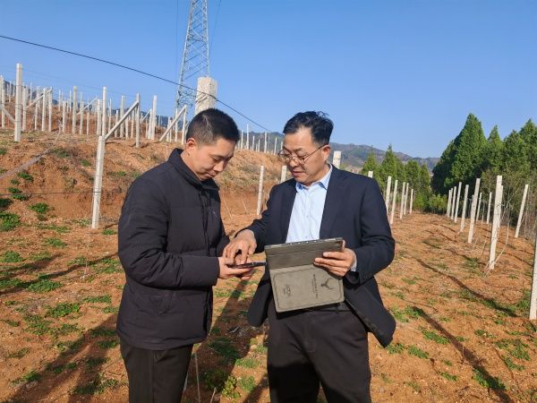 丹凤春耕沃野 金融“贷”来春耕好“丰”景