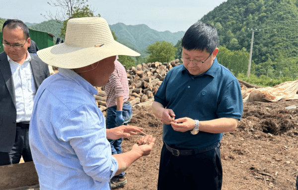 洛南阳光村镇银行开展“访百企”活动
