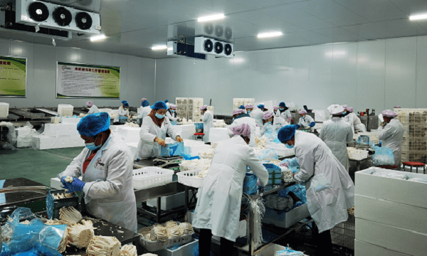 农发行山阳县支行获批贷款1亿元 为“小木耳 大产业”增添动力