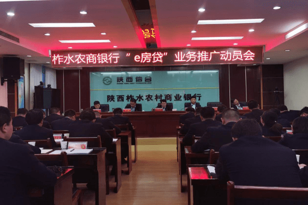 柞水农商银行成功发放首笔“e房贷”