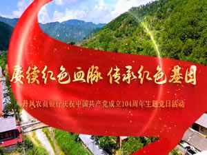 丹凤农商银行主题党日活动