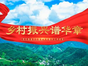 乡村振兴谱华章